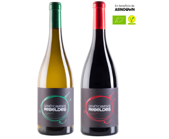 You are currently viewing Do you know the solidarity wines of Asindown?