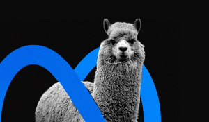 Llama 3.1 Impact Grants