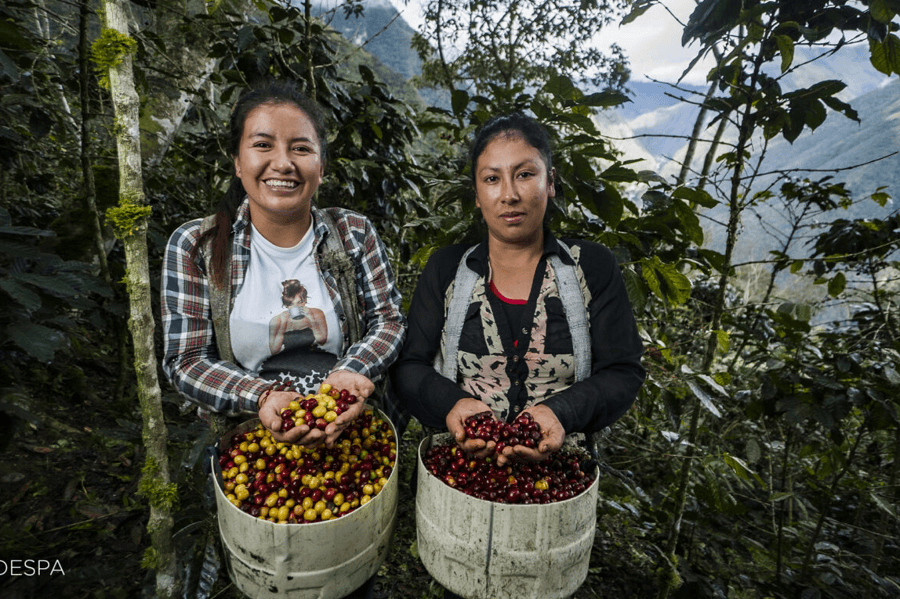 En este momento estás viendo CODESPA impulsa educación financiera y economía circular para fortalecer los emprendimientos rurales en Amazonas