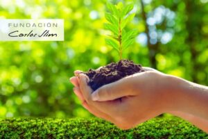 El inspirador compromiso de la Fundación Carlos Slim con la biodiversidad