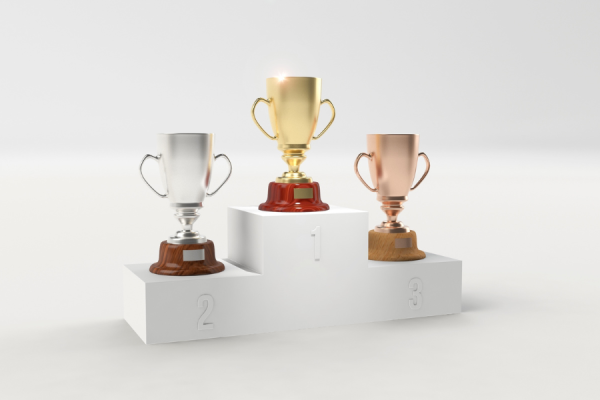 Pieza portal - Other Grants (1)